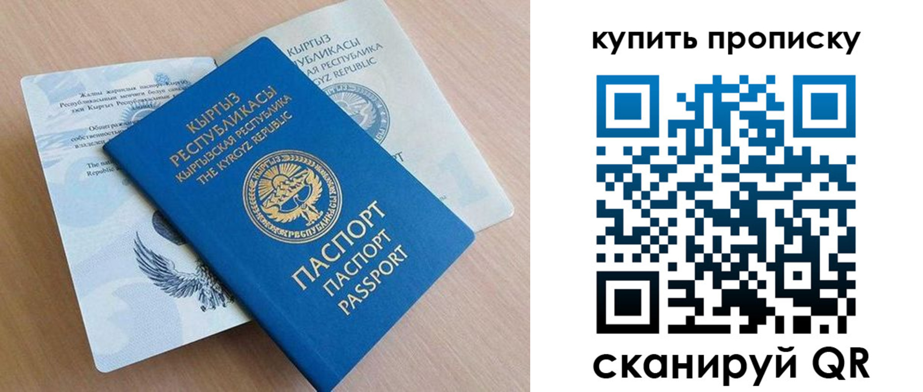временная регистрация поиск в Новоузенске